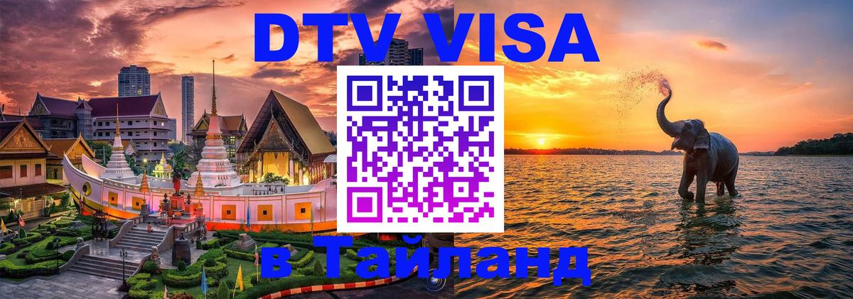 Сколько стоит DTV виза — актуальные цены, оформление даже без документов - Калининград  19.11.2025 